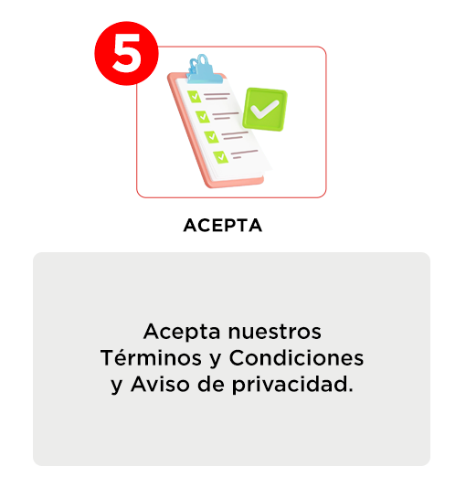 Contenido